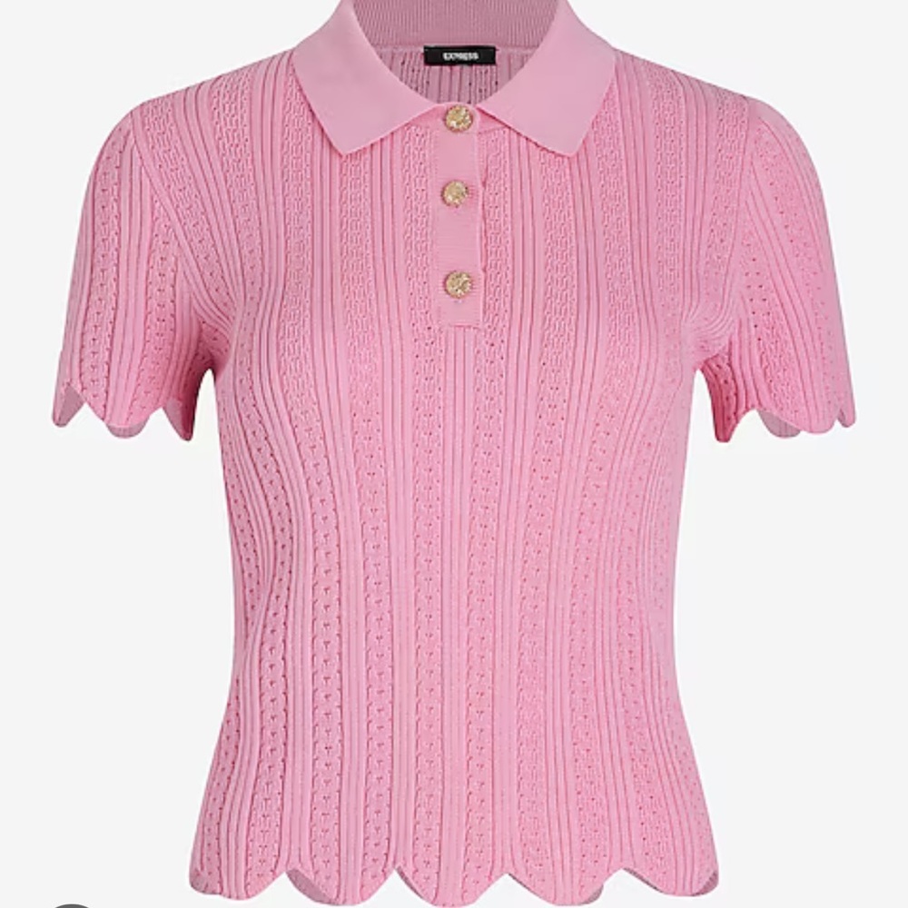 Express Pink Button Down Knit Top